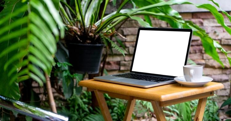 Natur als Zentrum im Büro