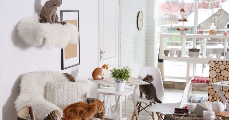 Inneneinrichtung Cafe Ideen